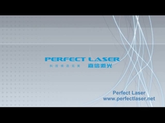 Perfect_Laser_Mixed_Laser_Cutting_Machine_PEDK-13090M